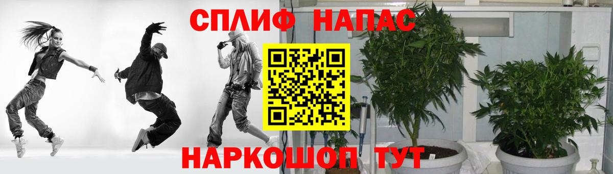 Каннабис OG Kush Новоалтайск